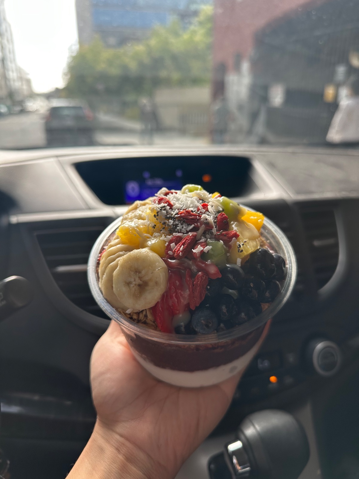 Palmetto Superfoods - Berkeley