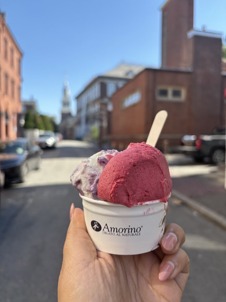 Amorino Gelato - Cambridge Harvard Square