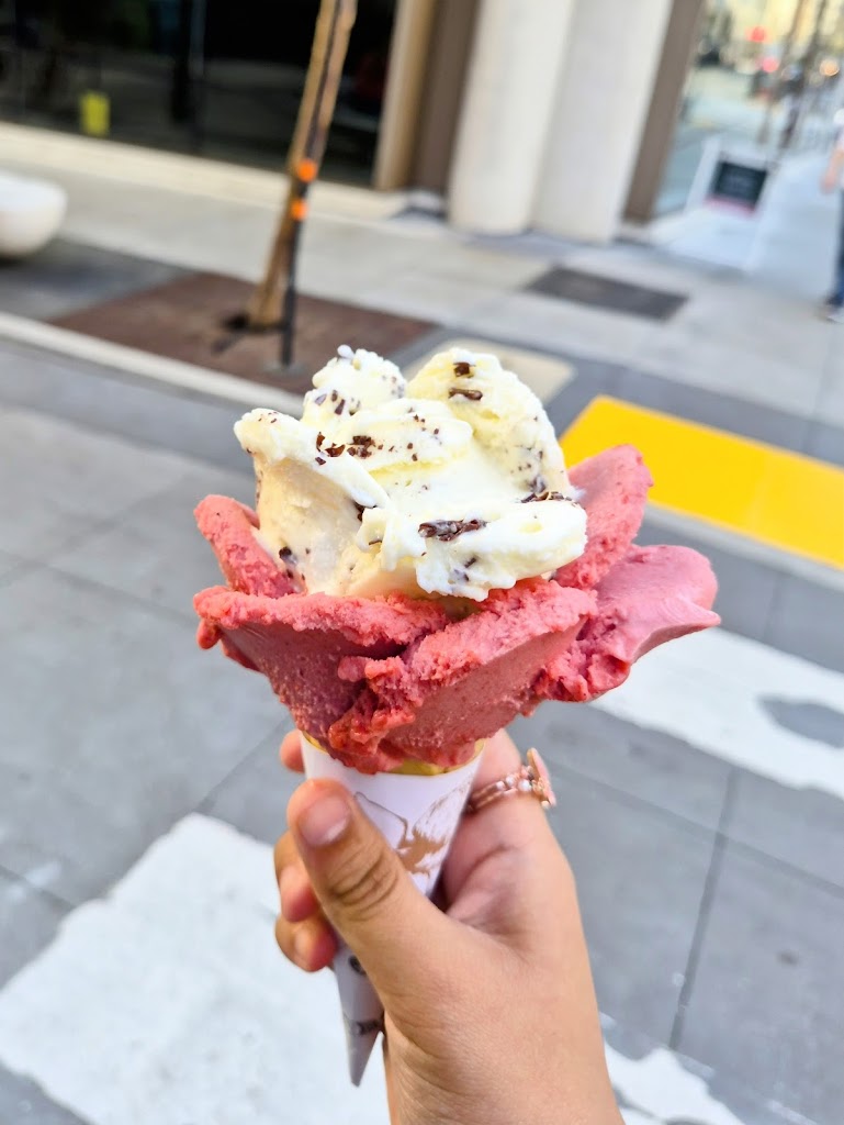 Amorino Gelato - San Francisco