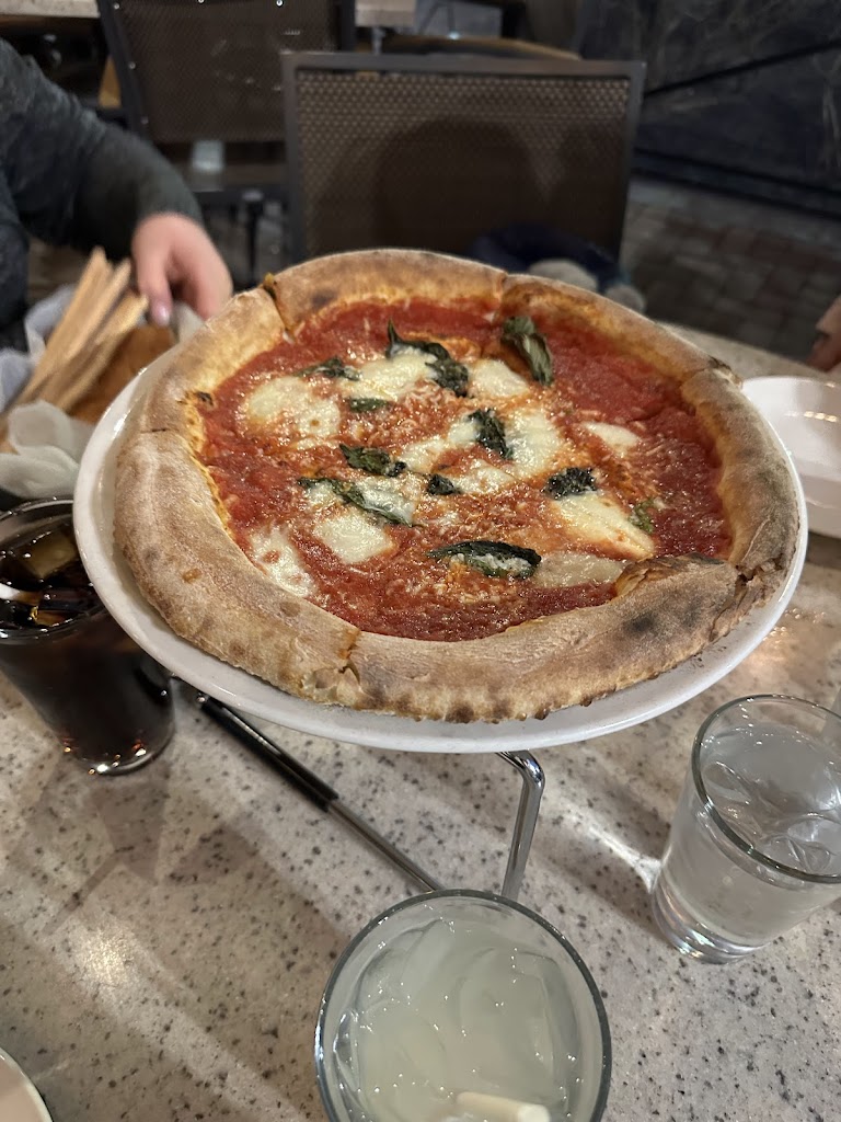 Avvio Ristorante