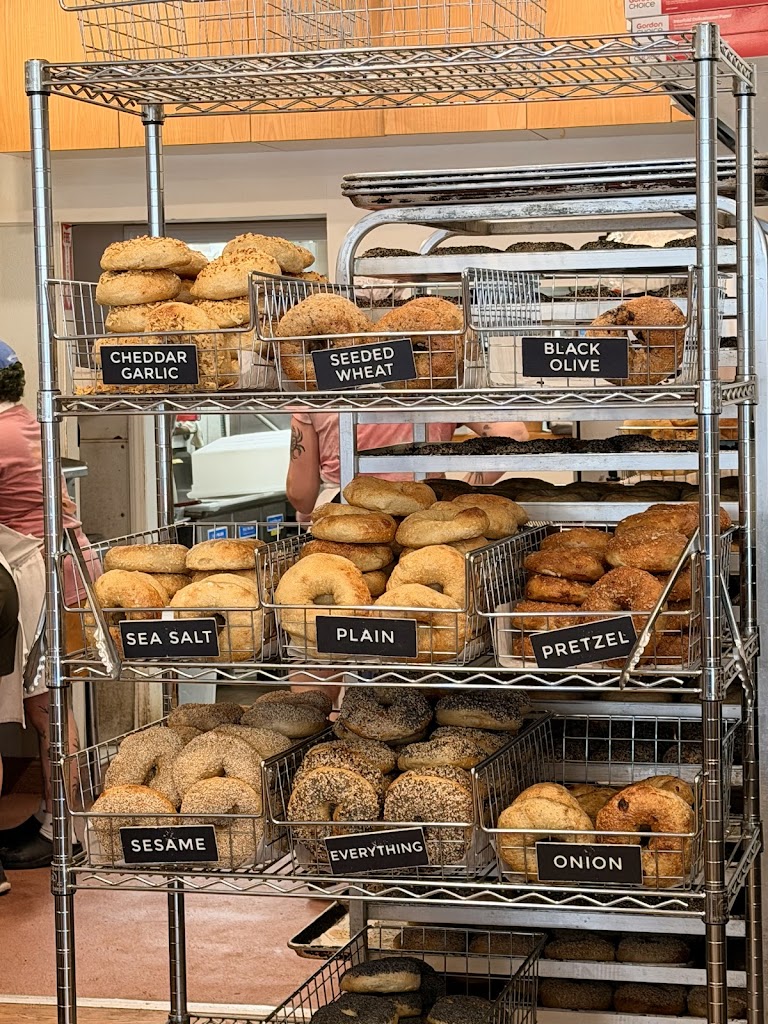 Bagelsaurus