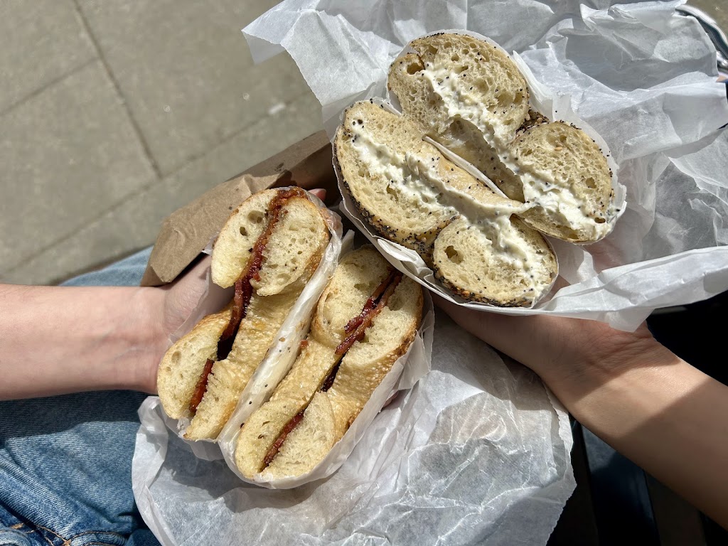 Bagelsaurus