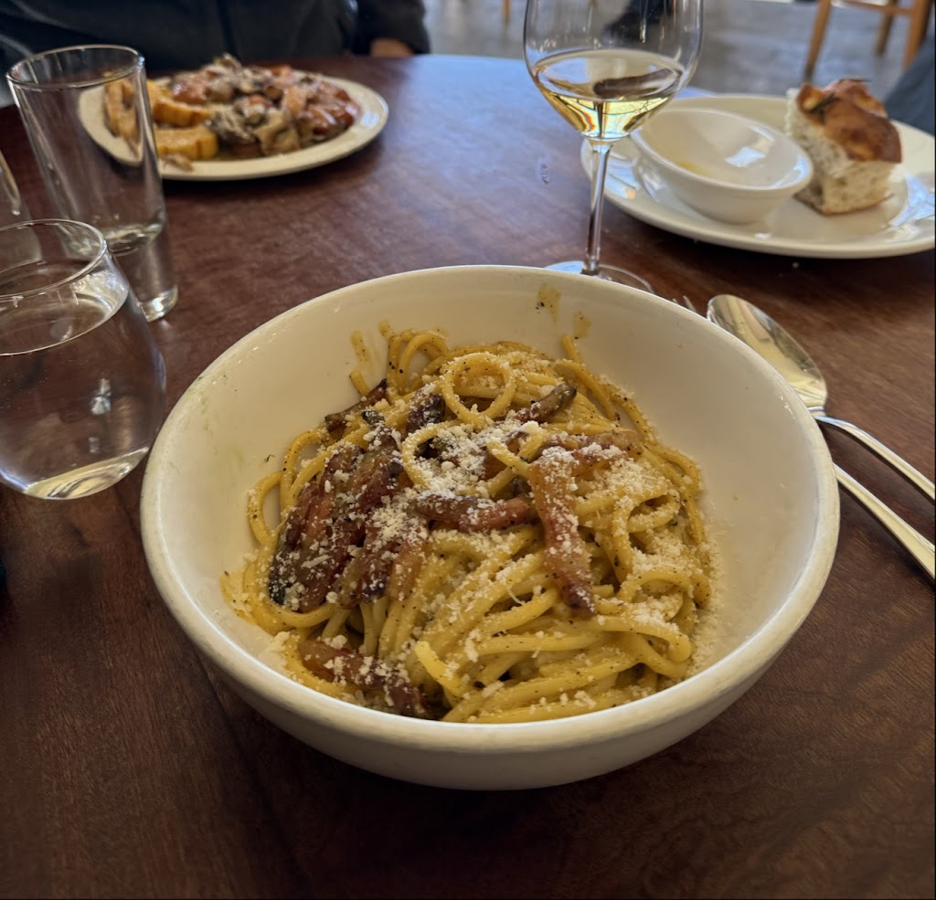 Barbuto