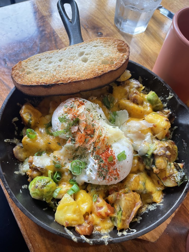 Berkeley Social Club