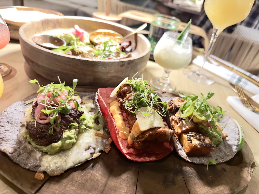 Cantina Monarca