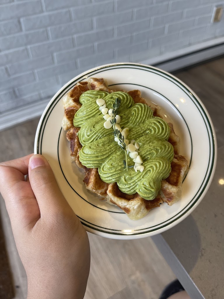 Dessert Fox
