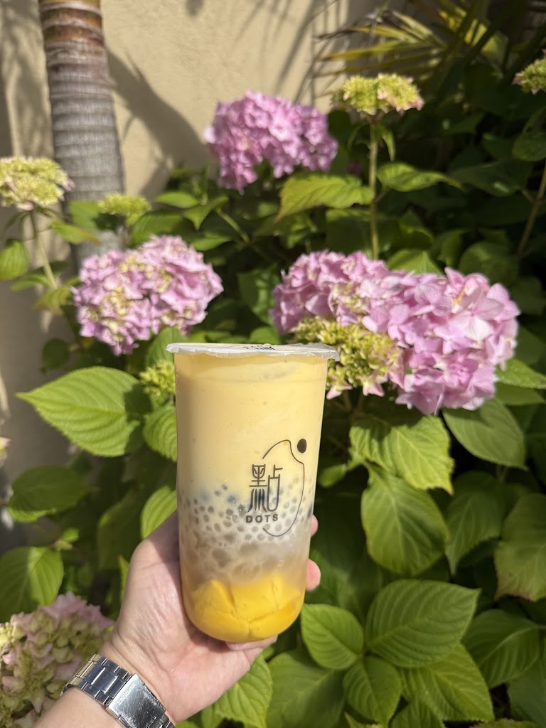 Dots Boba