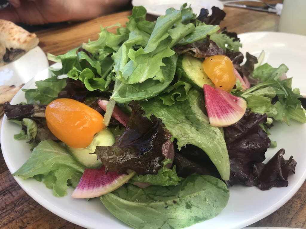 Forge Rockridge