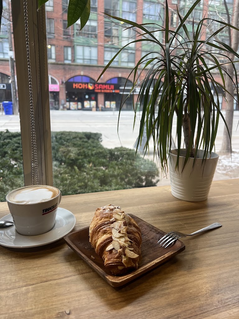Fungo Cafe