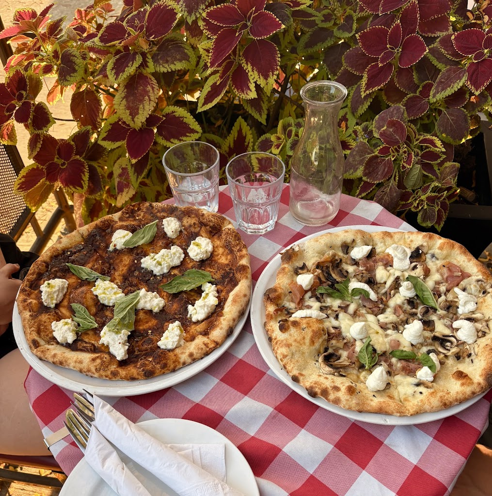 GATTO Wood Oven Italian Restaurant