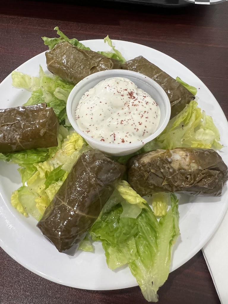 Gyro First