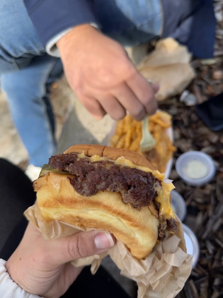 Hamburger Project