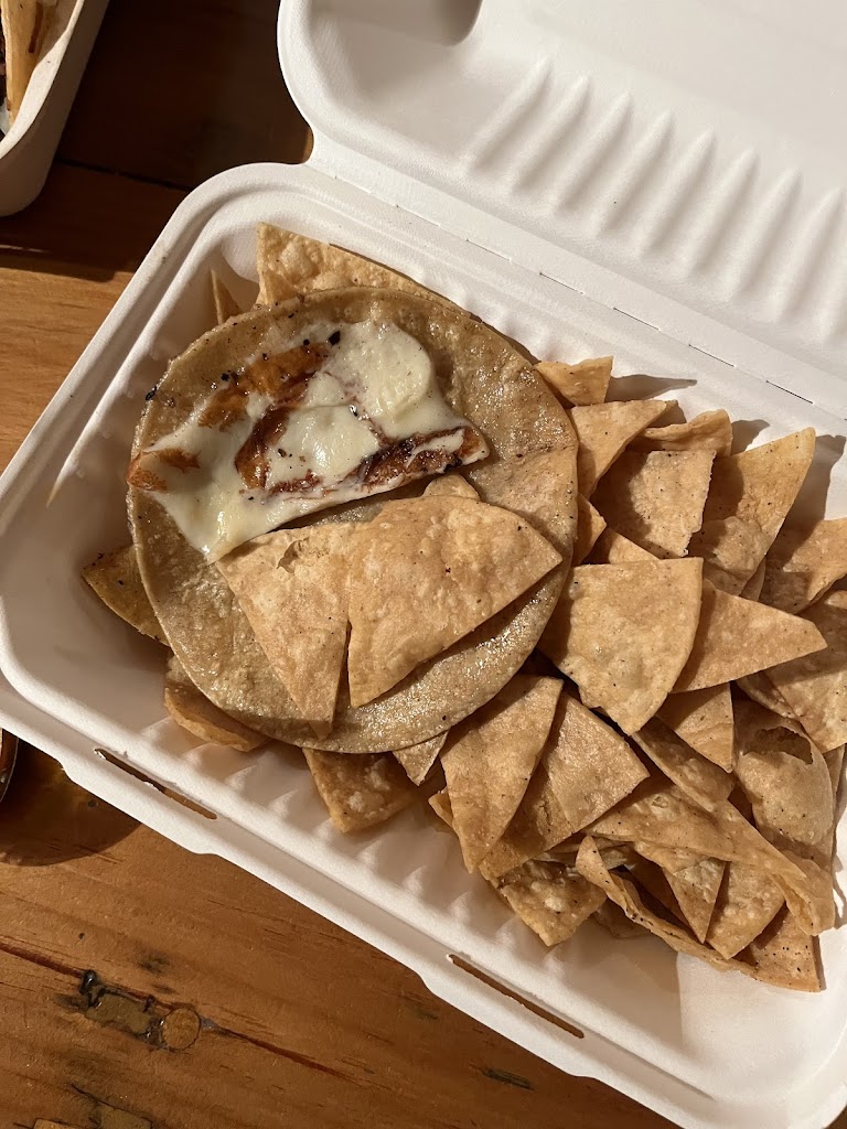 Holi Taco