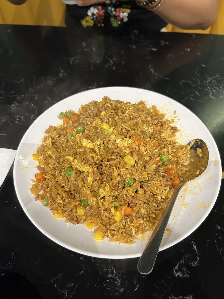Magical Taste of China Downtown.Halal.西域食府