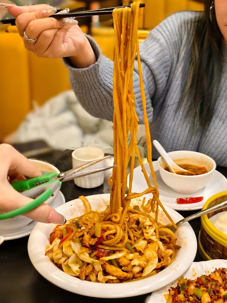 Magical Taste of China Downtown.Halal.西域食府
