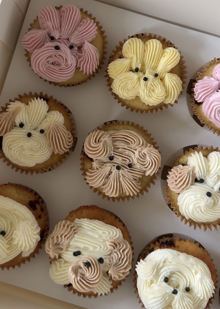 Meowvelous Bakes