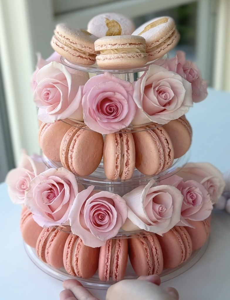 Meowvelous Bakes