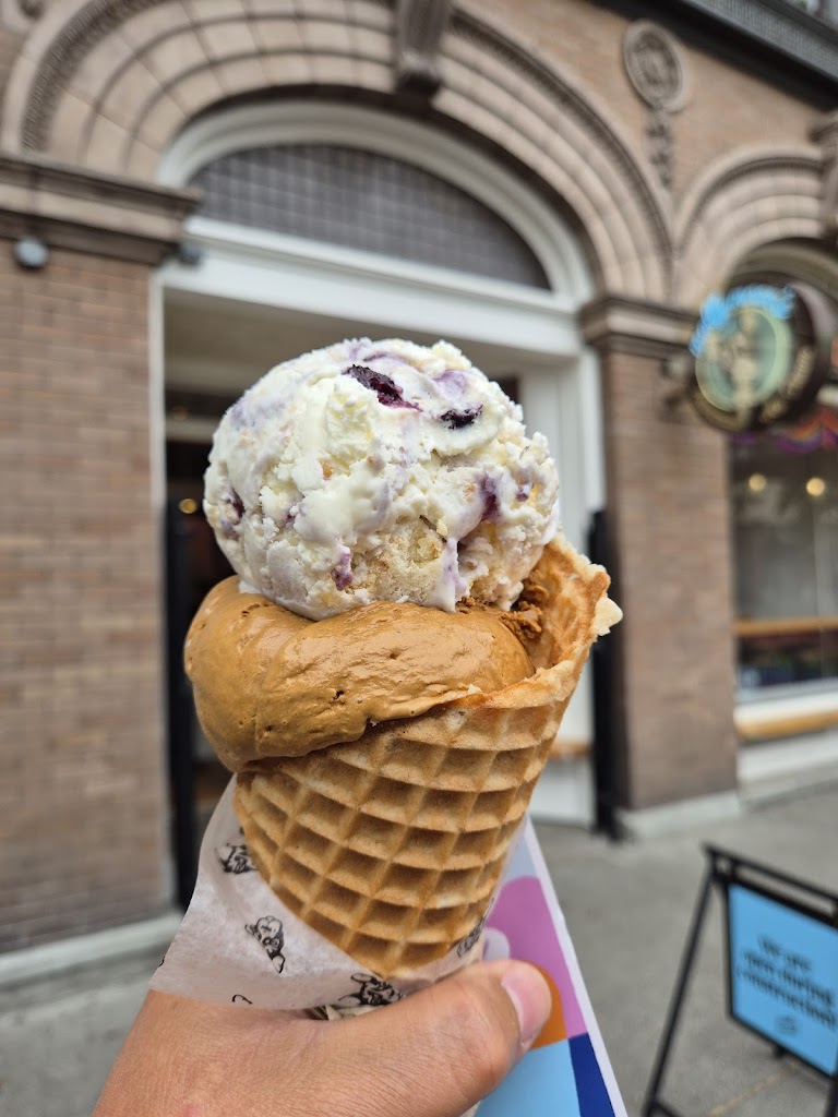 Molly Moon's Homemade Ice Cream Capitol Hill