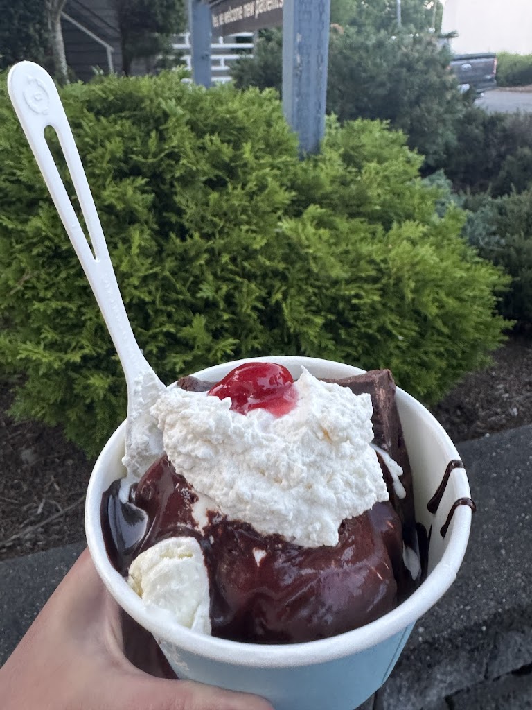 Molly Moon's Homemade Ice Cream Wallingford