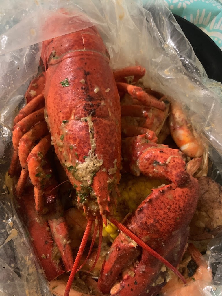 Oceanic Boil - Rego Park