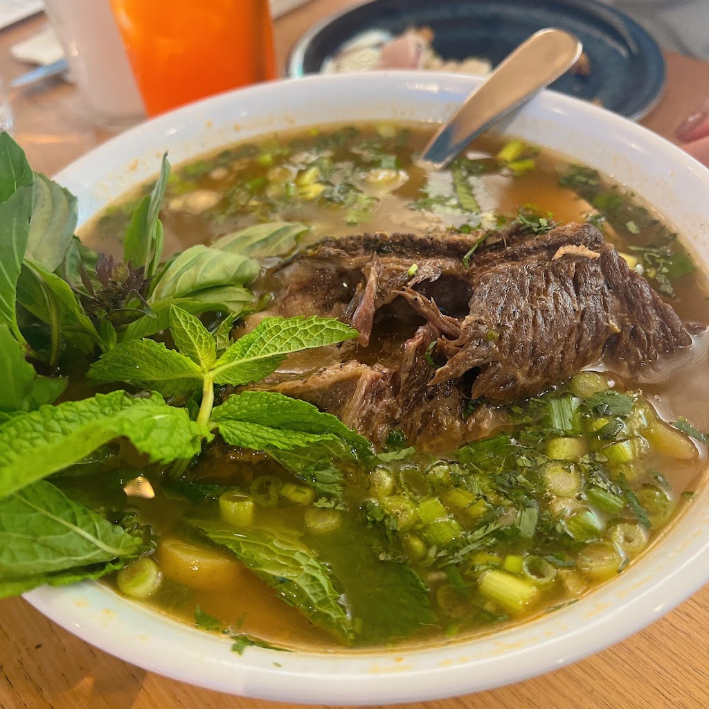 PACIFICO Latin American Cuisine