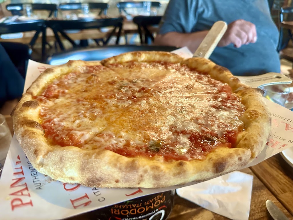 Panini Grill