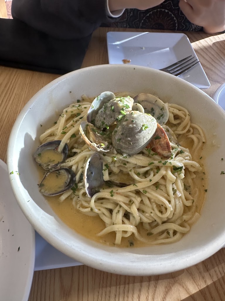 Pasta Panino