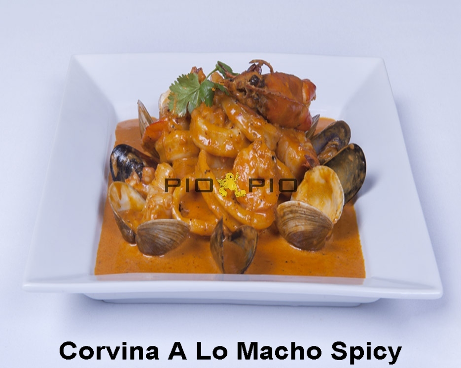 Pio Pio 8