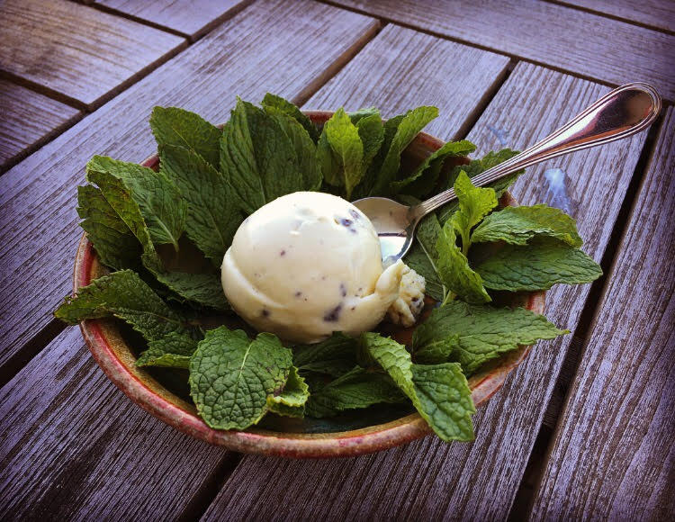San Francisco's Hometown Creamery