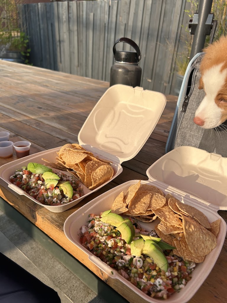 Shark Bite Ceviches