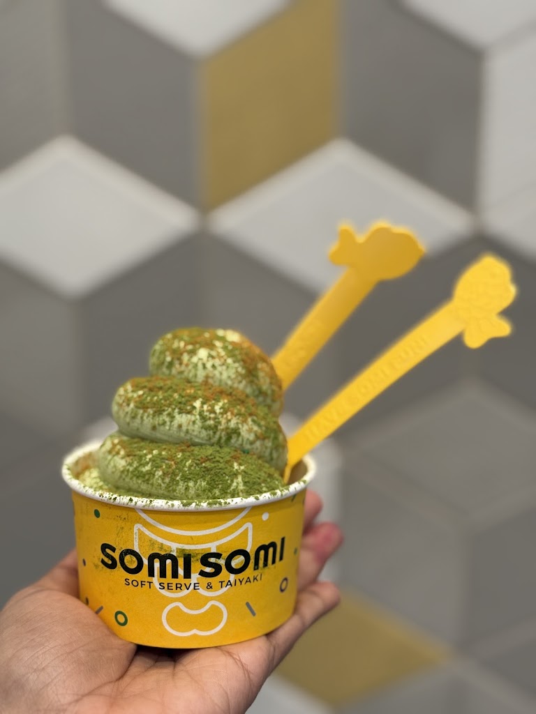 Somisomi