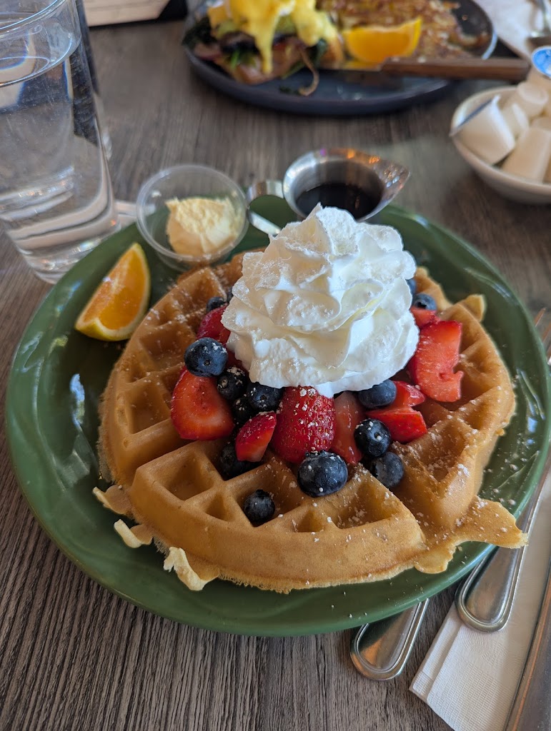 Toast Cafe & Grill