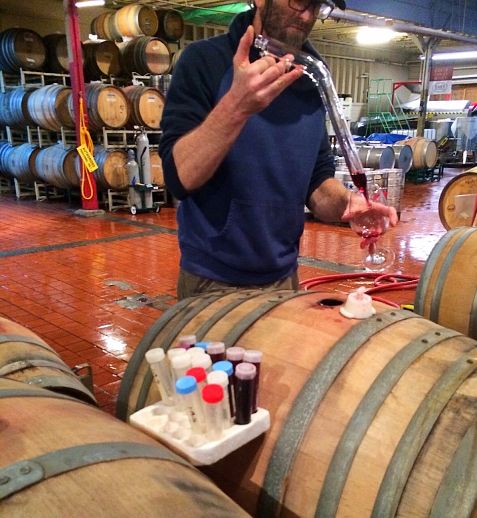 Treasure Island Wines