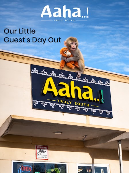 Aaha Truly South - South Indian Veg Restaurant in Scarborough | Pure Veg Dining | Indian Veg Catering Services in Scarborough