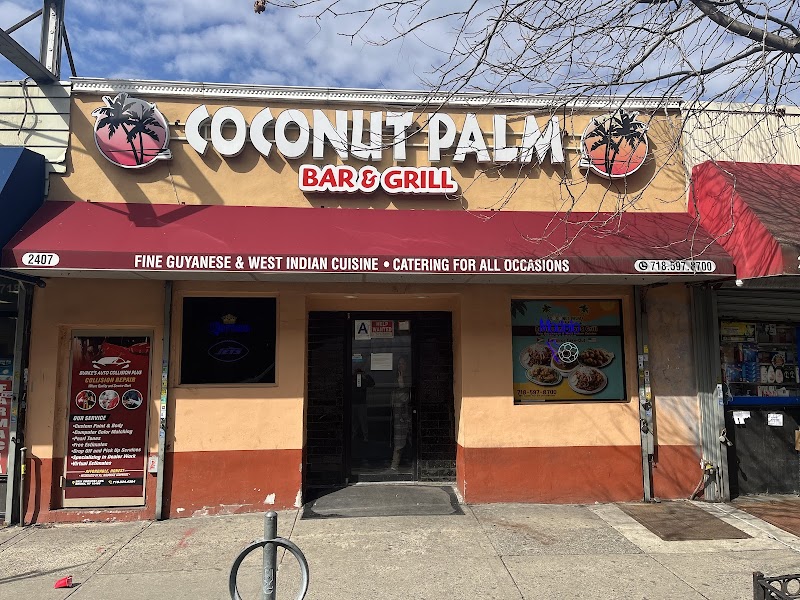 Coconut Palm