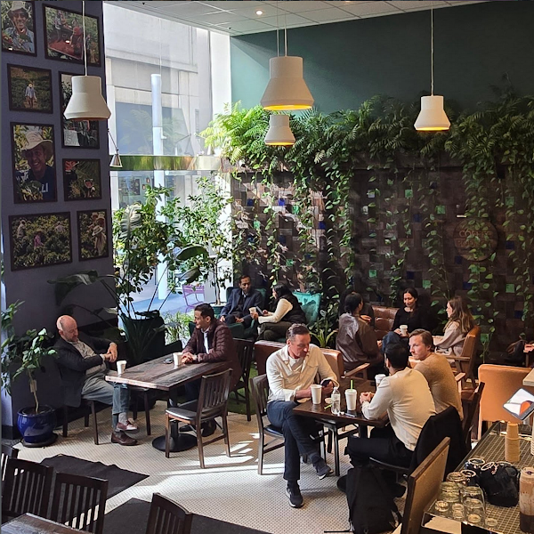 Coffee Bodega Farm-to-Table