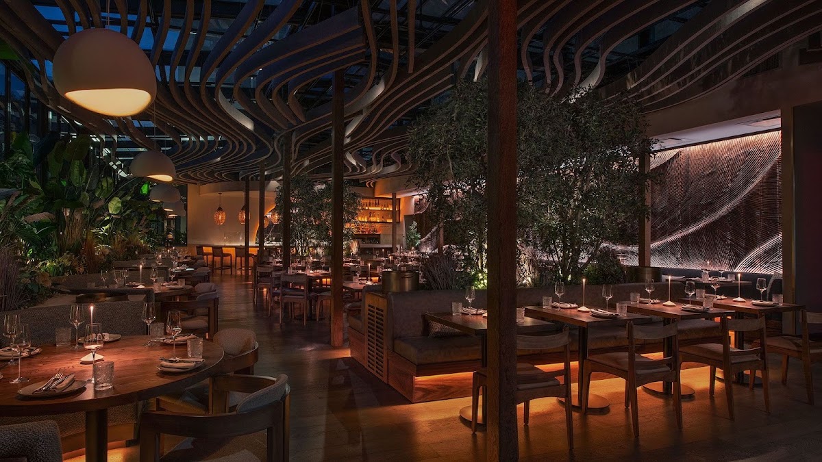 Mēdüzā Mediterrania New York