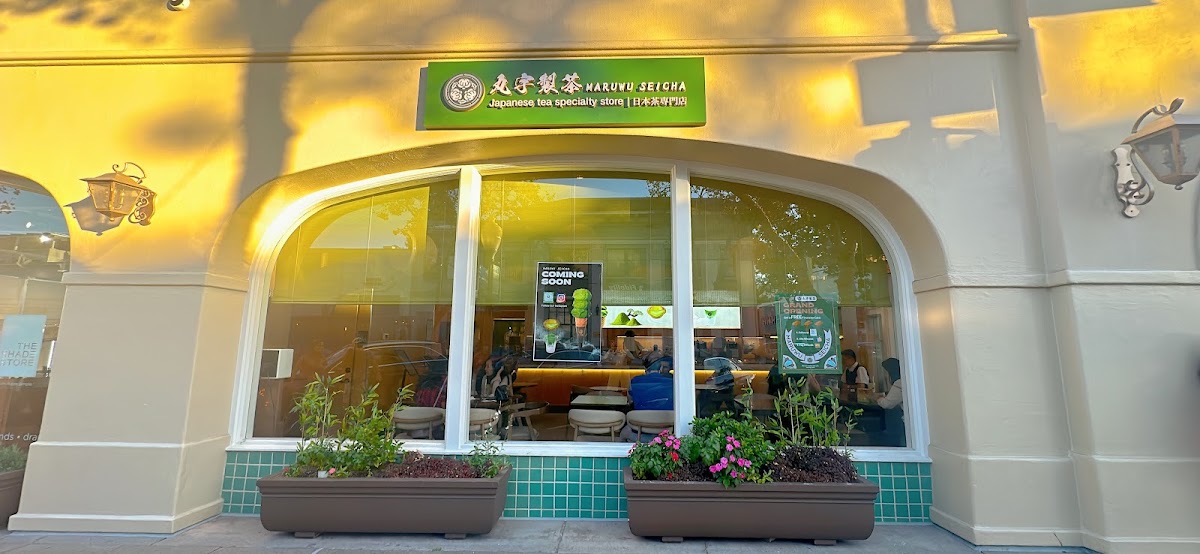 Maruwu Seicha - Palo Alto