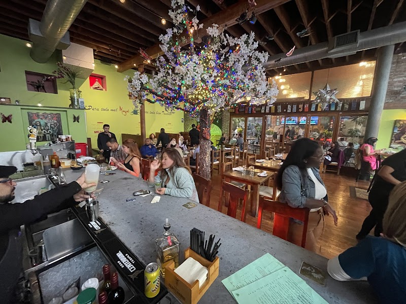 Mezcal Restaurant