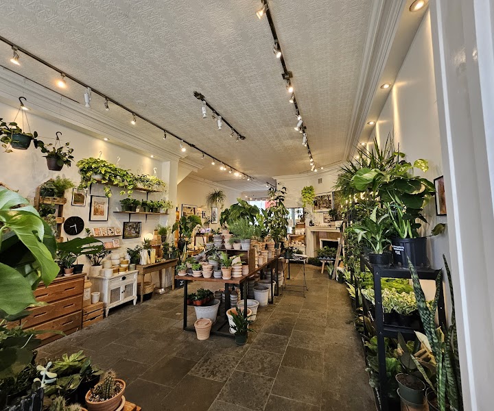 Moss Park Espresso