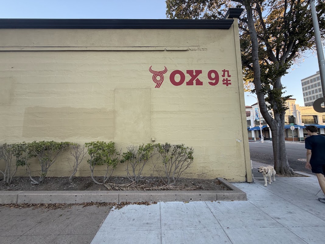 Ox 9 Lanzhou Handpulled Noodles