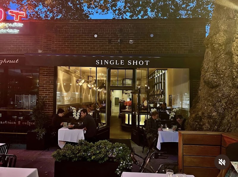 Single Shot