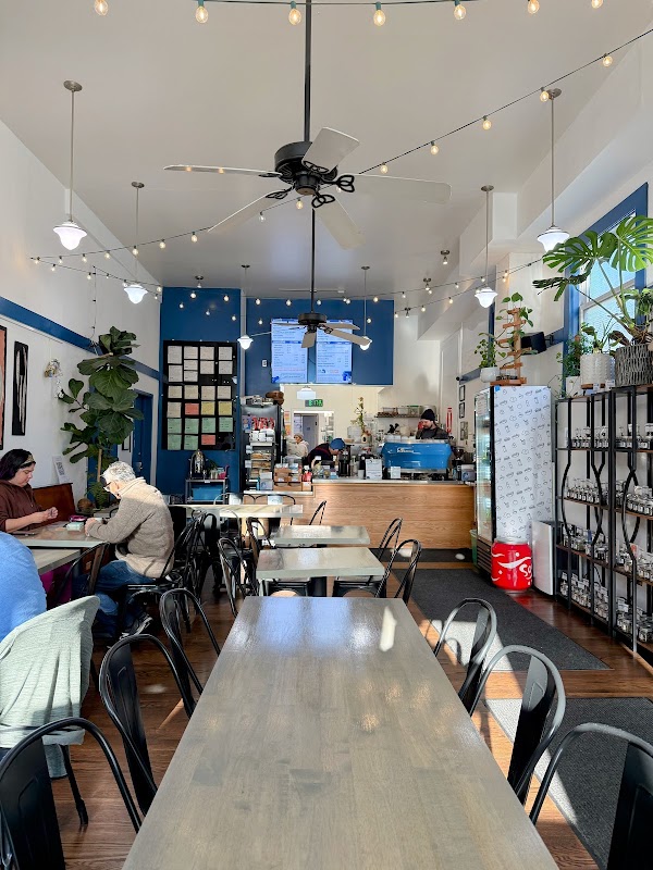 Tea Rex Cafe & Specialty Teas