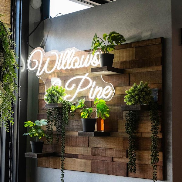 Willows & Pine